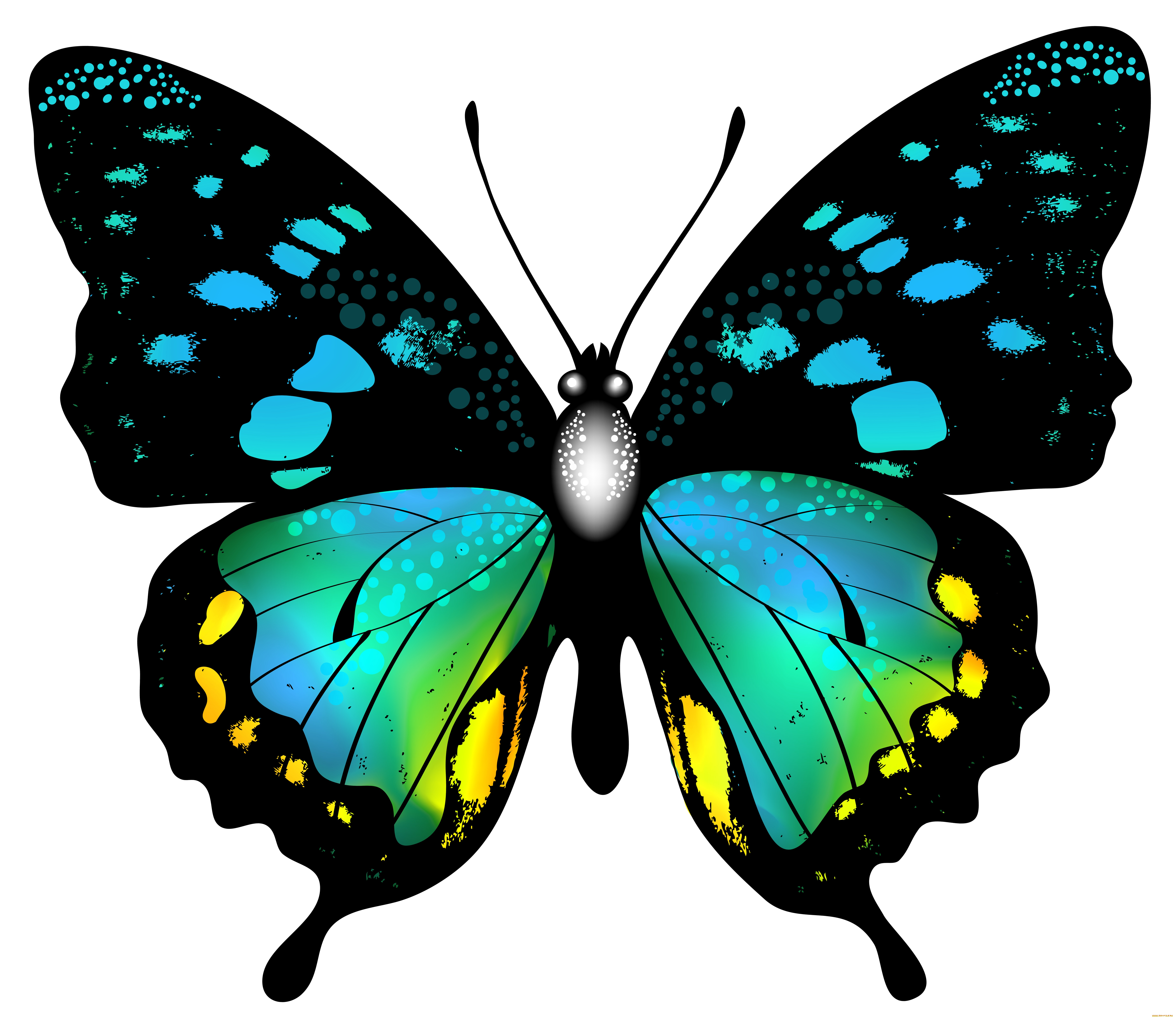  ,  , animals, 